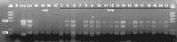 Fig. 5