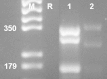Fig. 6