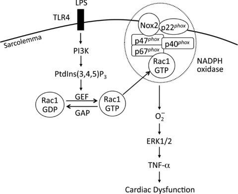 fig 9