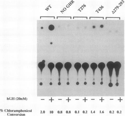 graphic file with name pnas01125-0136-a.jpg