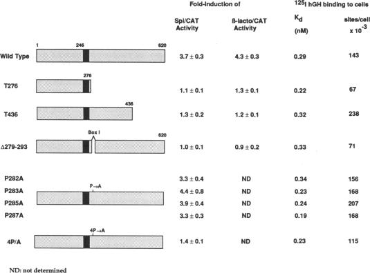 graphic file with name pnas01125-0135-a.jpg