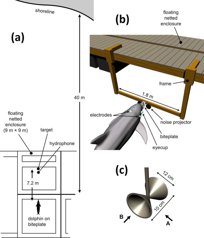 FIG. 1.