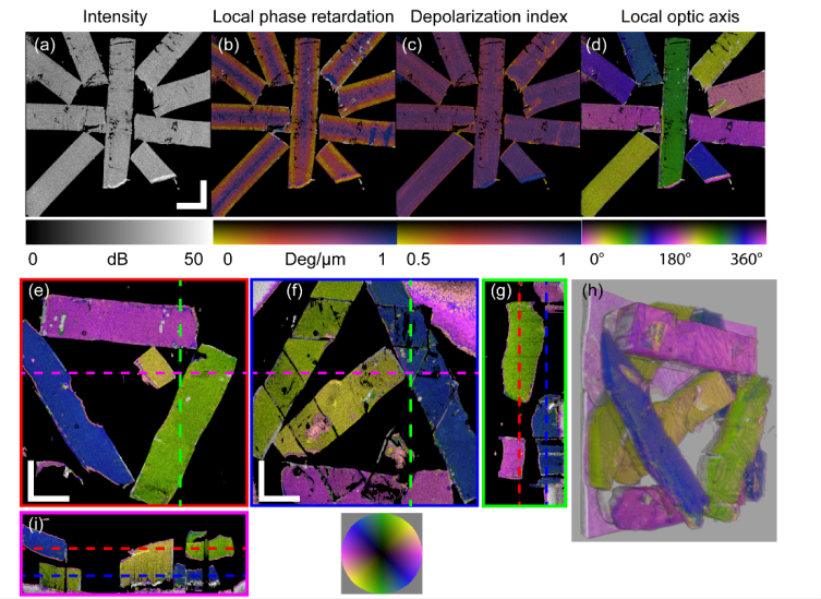 Fig. 4