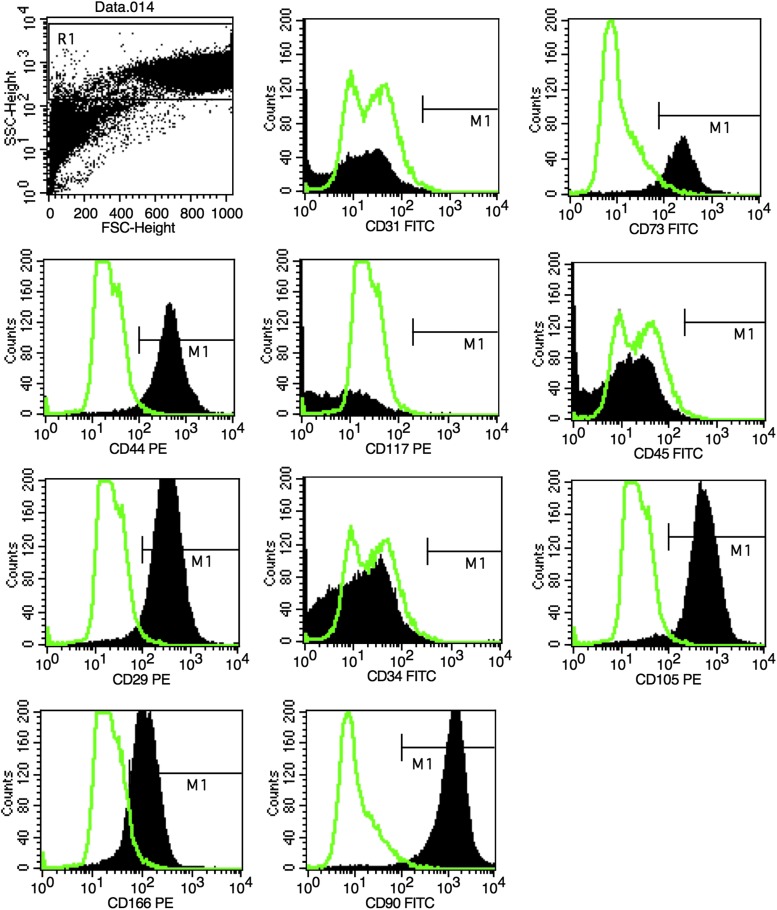 FIG. 2.