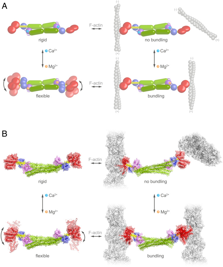 Fig. 6.