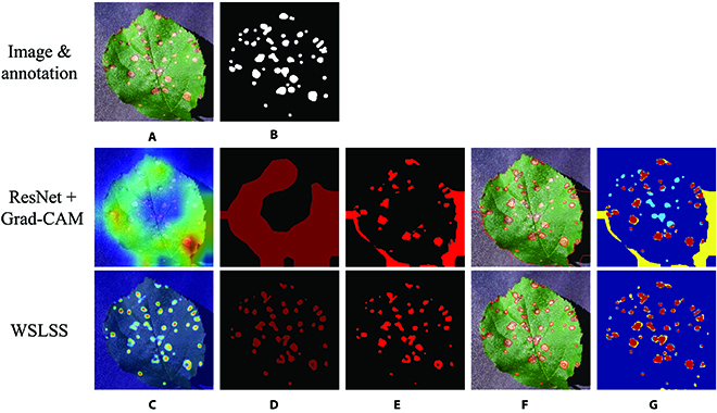 Fig. 4.