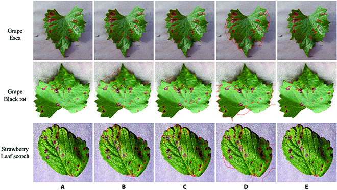 Fig. 6.