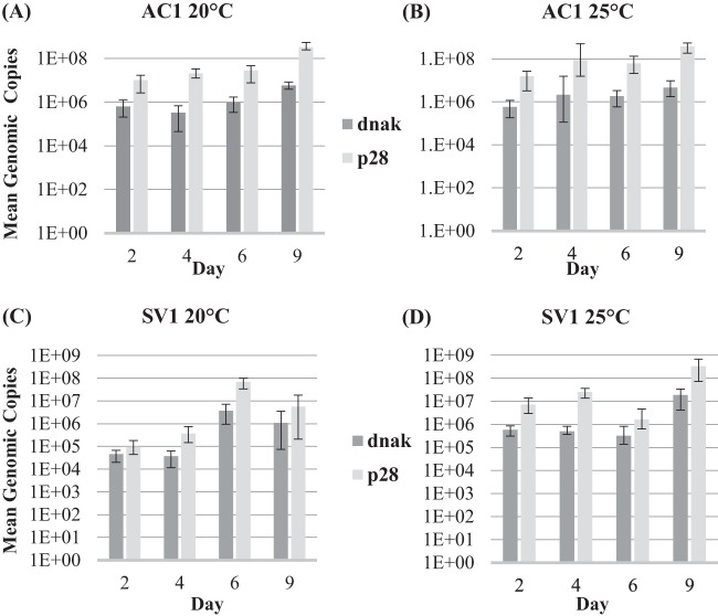 FIG 2