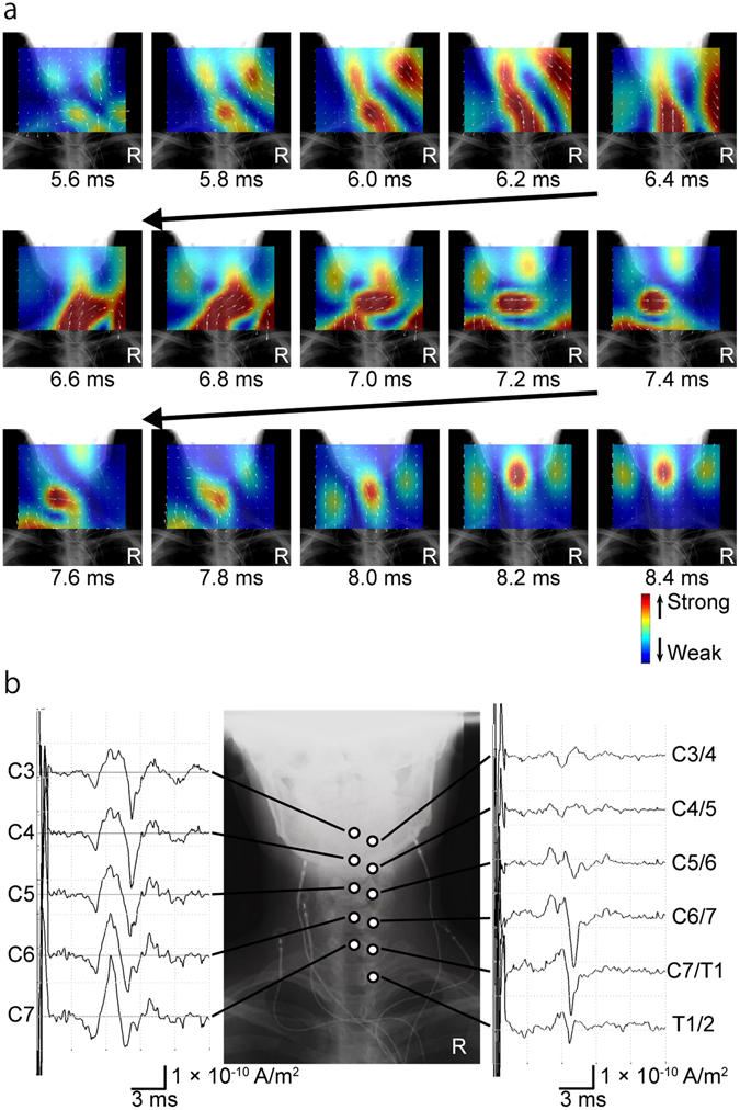 Figure 6