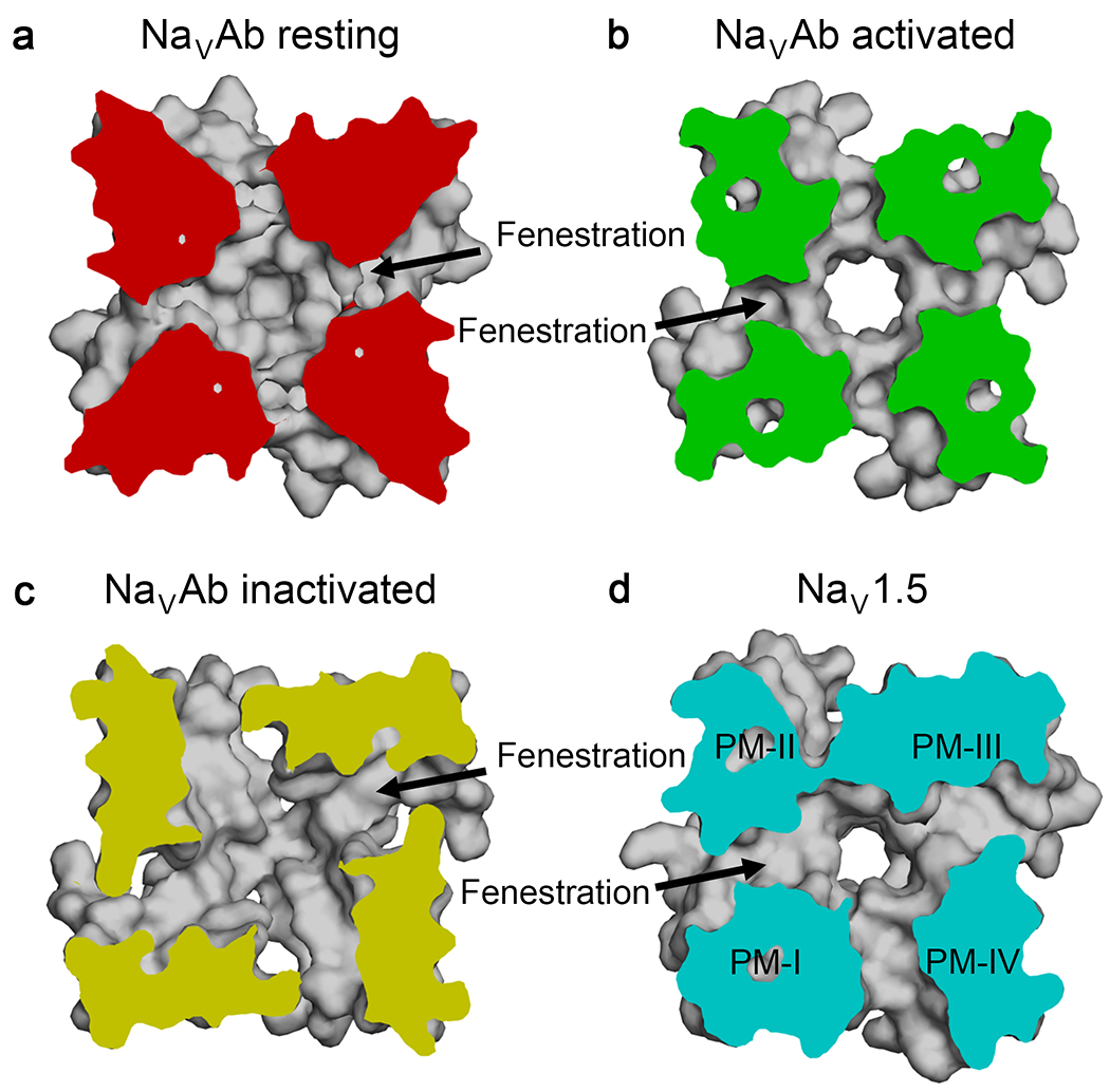 Figure 5.