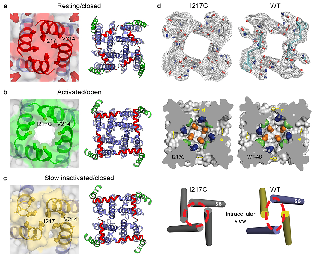 Figure 3.