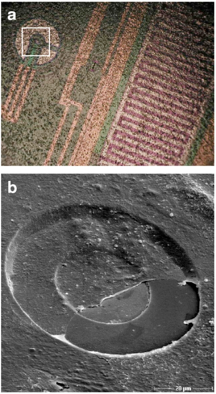 Fig. (2).