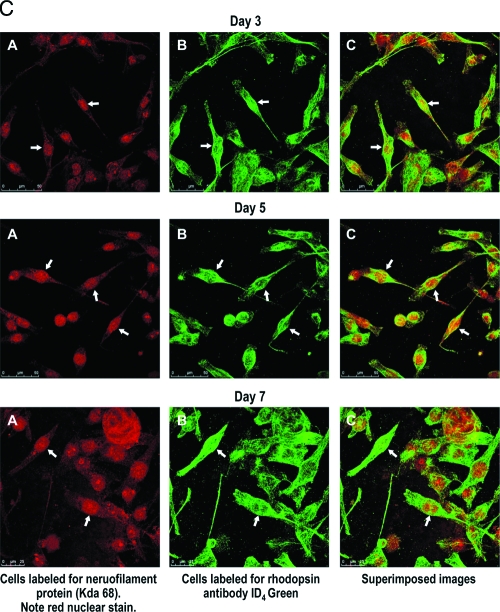 FIG. 4.