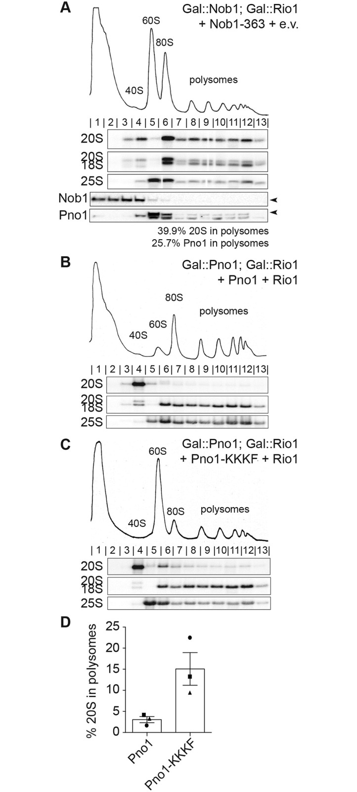 Fig 5