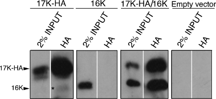 FIG. 8.