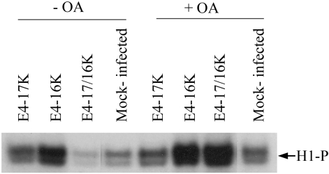 FIG. 7.