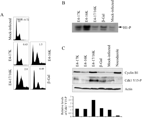 FIG. 3.