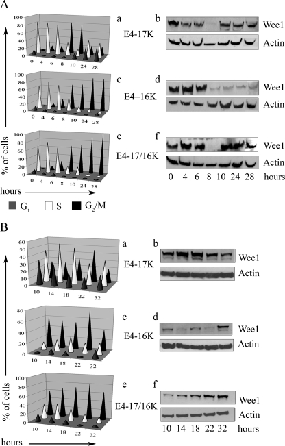 FIG. 4.