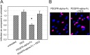 Fig 7