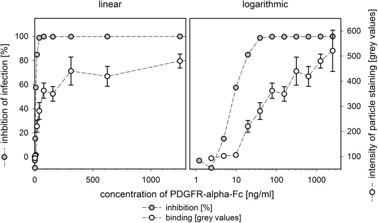 Fig 5