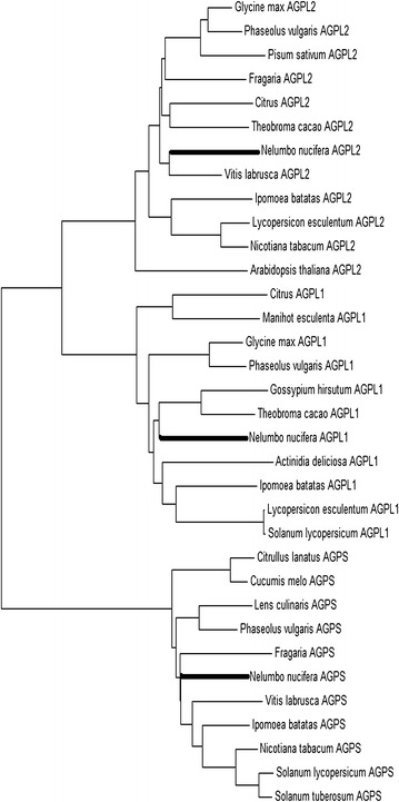 Fig. 3