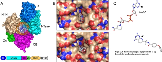 FIGURE 3.