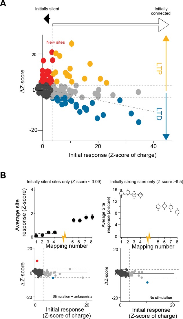 Figure 6—figure supplement 1.