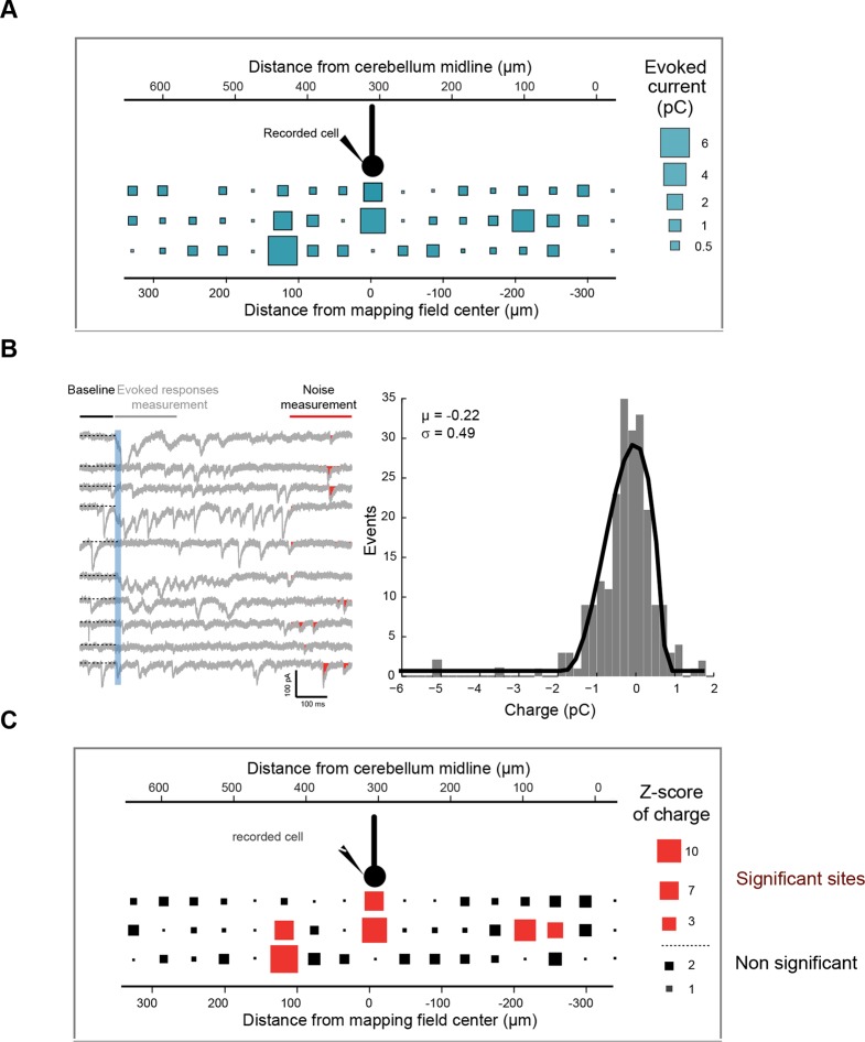 Figure 2—figure supplement 2.