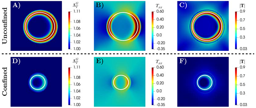 Figure 5: