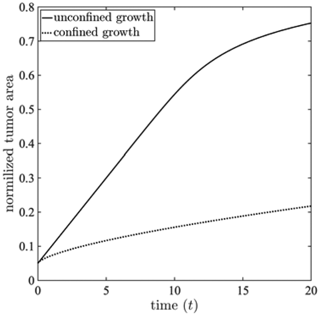 Figure 3: