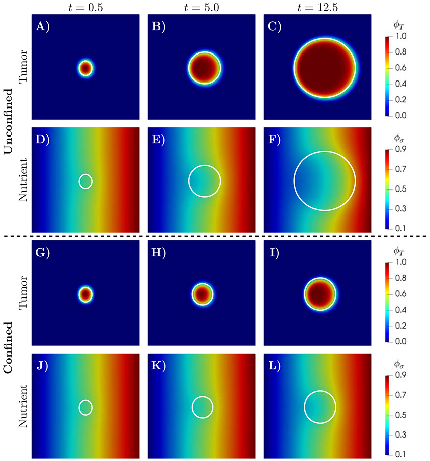 Figure 4: