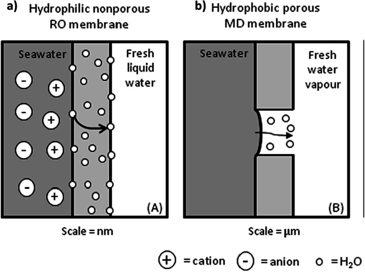 Fig. 10