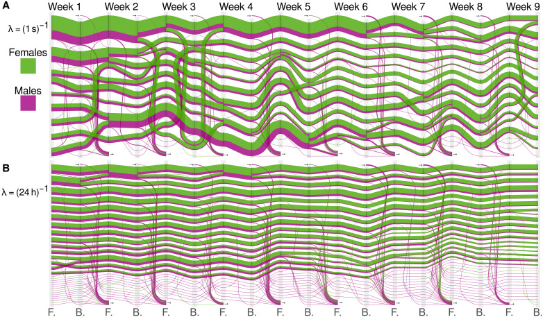 Fig. 6.