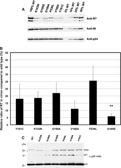 FIG. 6.