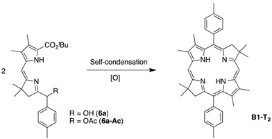 graphic file with name molecules-22-00634-i001.jpg