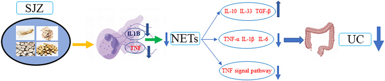 Figure 16