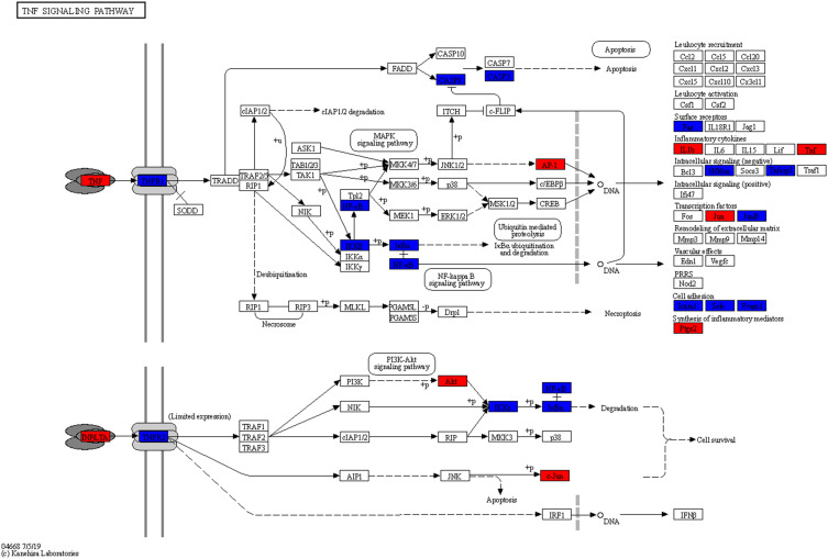 Figure 10