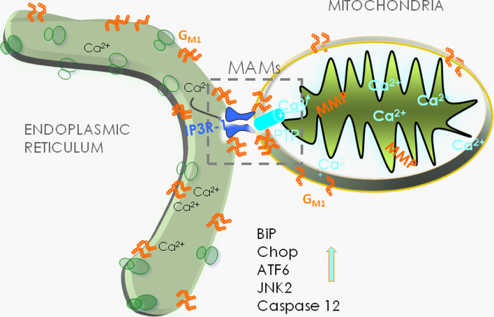 Fig. 4