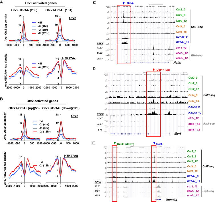 Figure 6