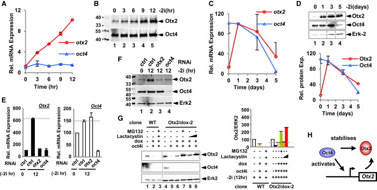 Figure 2