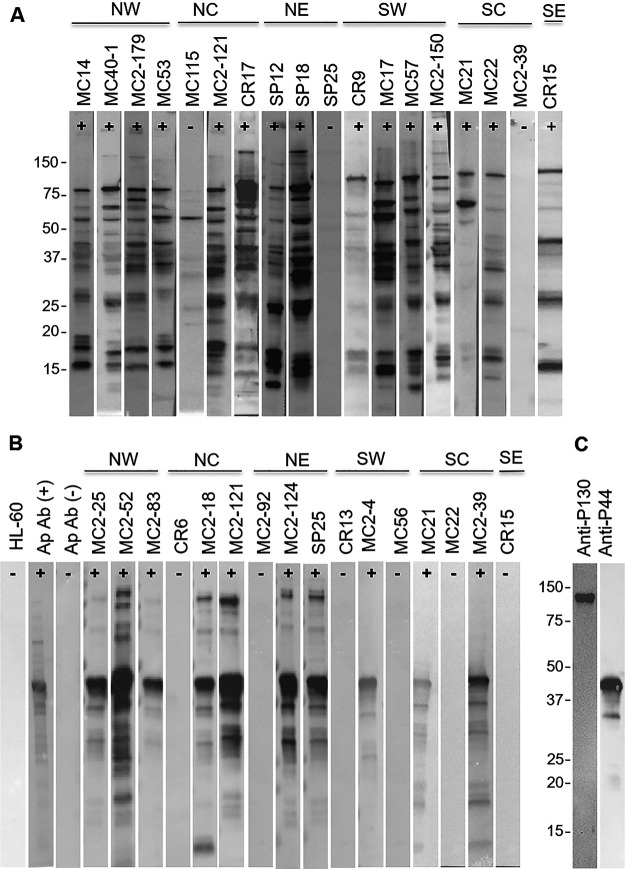 FIG 1