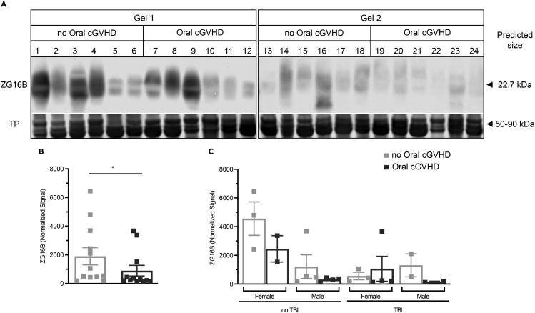 Figure 3