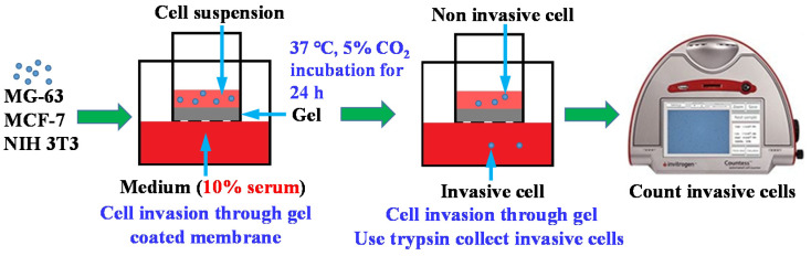 Figure 7