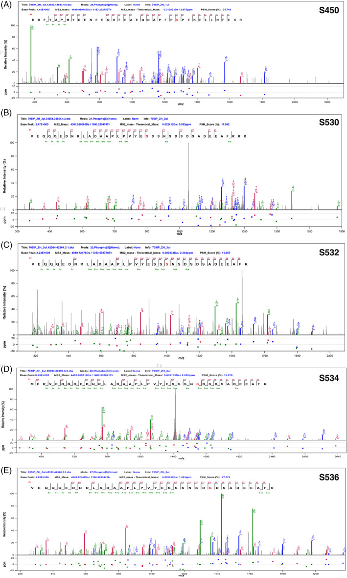 FIGURE 3