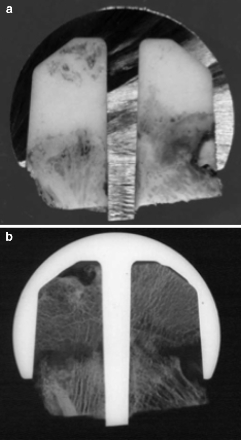 Fig. 6