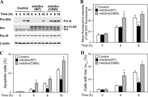 FIGURE 4.