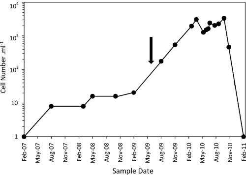 Fig. 3.