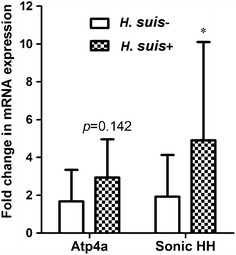 Figure 5