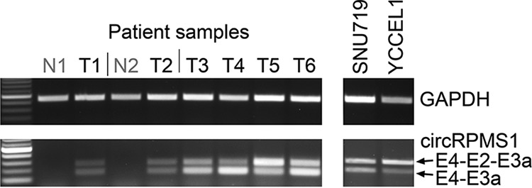 FIG 9