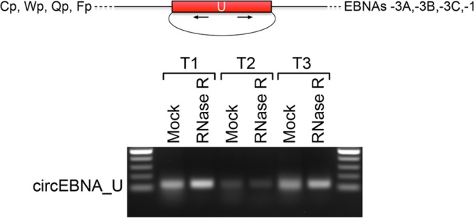 FIG 6